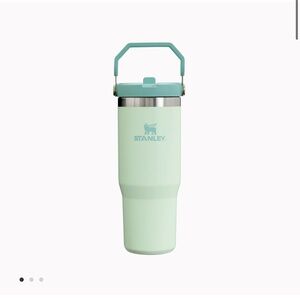 Stanley iceflow tumbler in mist